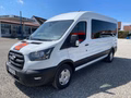 Daumennagel 1 - Ford Transit Kombi 350 L3 Trend Behindertengerecht