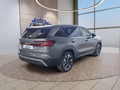 Daumennagel 5 - Skoda Kodiaq 2,0TDI DSG 4x4 aAHK/7-Sitzer/Matrix/Navi/el.Klappe   **