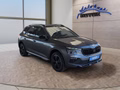 Daumennagel 8 - Skoda Kamiq Monte Carlo 1,5TSI DSG AHK/Matrix/el.Klappe         **