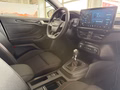 Daumennagel 15 - Ford Focus ST-Line Limo
