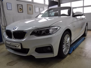 BMW 220 Gebrauchtwagen Kaufen