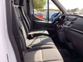Daumennagel 14 - Ford Transit 350 L3H2 Lkw VA Basis AHK Seitenwandver