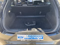 Daumennagel 13 - Ford Puma ST-Line X