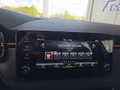 Daumennagel 33 - Skoda Kamiq Monte Carlo 1,5TSI DSG AHK/Matrix/el.Klappe         **