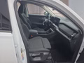 Daumennagel 15 - Skoda Kodiaq 1,5TSI DSG aAHK/7-Sitzer/Navi/ACC/el.Klappe  **