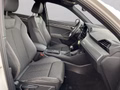 Daumennagel 21 - Audi Q3 45 TFSIe S Line AHK+Navi+ACC+Sthz