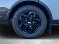 Daumennagel 9 - Ford Transit Custom Kombi 340 L2 Trail