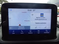 Daumennagel 19 - Ford Grand Tourneo Connect Titanium