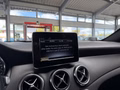 Daumennagel 22 - Mercedes-Benz GLA 220 4Matic AHK|STHZ+SHZ|KAMERA|TEMP.|MFL|SPORT