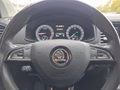 Daumennagel 22 - Skoda Karoq 1,6TDI DSG aAHK/Voll-LED/Navi/ACC/Kamera