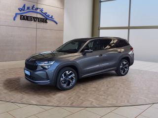 Skoda Kodiaq age.one-day registration Kaufen