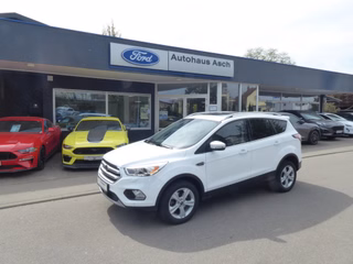 Ford Kuga Gebrauchtwagen Kaufen