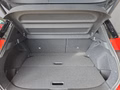 Daumennagel 17 - Nissan Qashqai N-Design 1.5 VC-T e-POWER UPE=50500 Euro **