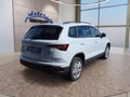 Daumennagel 5 - Skoda Karoq 1,5TSI DSG aAHK/ACC/Kamera/Winterp.