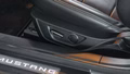 Thumbnail 15 - Ford Mustang 5.0 GT FASTBACK nur 17TKM KLAPPEN AUSPUFF
