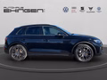 Daumennagel 5 - Audi Q5 Hybrid 50 TFSIe quattro LED+Navi+Sthz