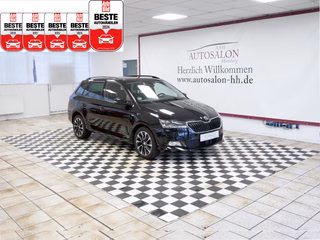 Skoda Fabia Gebrauchtwagen Kaufen