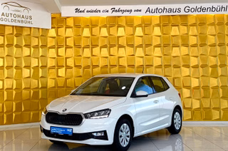 Skoda Fabia Selection WERK GARANTIE 1 HAND SHZ PDC - photo 1
