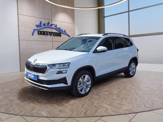 Skoda Karoq age.one-day registration Kaufen