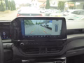 Daumennagel 12 - Ford Tourneo Custom Bus 320 L1 Titanium X FWD