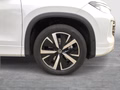 Daumennagel 6 - Volkswagen Tayron 1.5 eTSI 110 kW Life KAM,WR,AHK,4 J.Gar.