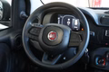 Daumennagel 19 - Fiat Panda Base  NEUFAHRZEUG