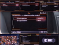 Daumennagel 10 - Audi Q5 2.0 TDI Quat. 3x S-Line Panora B&O ACC AHK