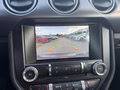 Daumennagel 19 - Ford Mustang Convertible 5.0 Ti-VCT V8 Aut. GT