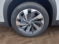 Daumennagel 14 - Skoda Kodiaq 2,0TDI DSG 4x4 aAHK/7-Sitzer/Matrix/Navi/el.Klappe **