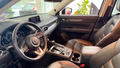 Daumennagel 11 - Mazda CX-5 Sports-Line 2WD