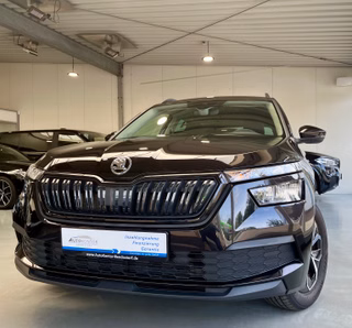 Skoda Kamiq Gebrauchtwagen Kaufen