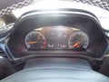 Daumennagel 15 - Ford Fiesta ST
