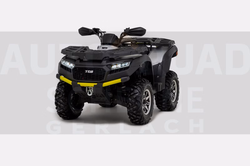 TGB Blade 550 EPS LOF Silver Edition 5 Jahre Garantie