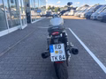 Thumbnail 5 - Triumph Speed Twin 1200 MY25 4 Jahre Garantie Kurven-ABS
