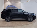 Daumennagel 6 - Skoda Kodiaq 2,0TSI DSG 4x4 aAHK/7-Sitzer/Matrix/Navi/el.Klappe   **
