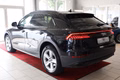 Daumennagel 4 - Audi Q8 55 TFSI quattro S-Line