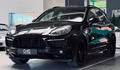 Daumennagel 3 - Porsche Cayenne GTS PDC|BOSE|S-DACH|AHK|STHZ+4xSHZ+LK|NAVI