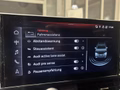 Daumennagel 29 - Audi S4 Avant 3.0 TDI quattro B&O/AHK/MATRIX
