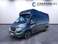 Daumennagel 2 - Affinity Camper Van Duo Fiat Sehr gepflegt!Top Ausstattung