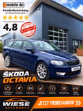 Daumennagel 1 - Skoda Octavia Combi Ambition