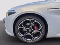 Daumennagel 23 - Alfa Romeo Giulia Competizione 2.2D  MY23 Pano+Premiumpaket