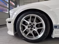 Daumennagel 9 - Ford Mustang Shelby GT 500 SVT