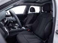 Daumennagel 10 - Audi A4 Avant 35 TDI/S-LINE/PANO/VIRTUAL/AHK/RFK/LED/