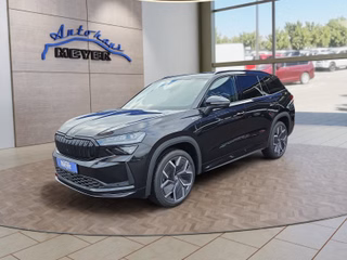 Skoda Kodiaq age.one-day registration Kaufen
