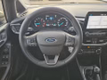 Daumennagel 7 - Ford Fiesta 1.0 EcoBoost S&S TITANIUM Winter-Paket