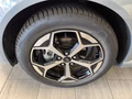 Daumennagel 5 - Ford Puma ST-Line + Fahrerassistenz + Winter-Paket