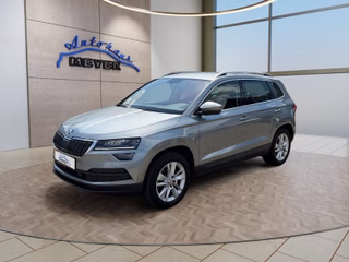 Skoda Karoq Gebrauchtwagen Kaufen