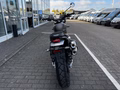 Daumennagel 5 - Triumph Scrambler 900 MY26 Sofort Verfügbar!