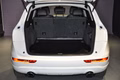 Daumennagel 8 - Audi Q5 S-LINE/PANO/BANG OLUFSEN/PREMIUM PLUS