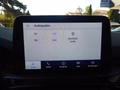 Daumennagel 19 - Ford Kuga Plug-In Hybrid ST-Line X aus 1. Hand